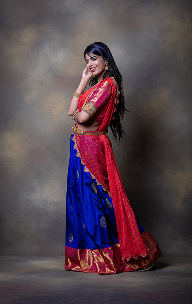 Blue and Red Silk Dhavani - Front View
